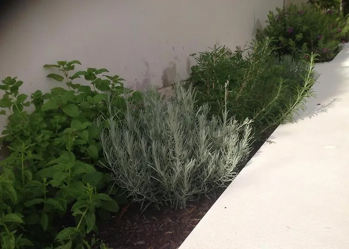 Modern Frontline Golf * Algorfa