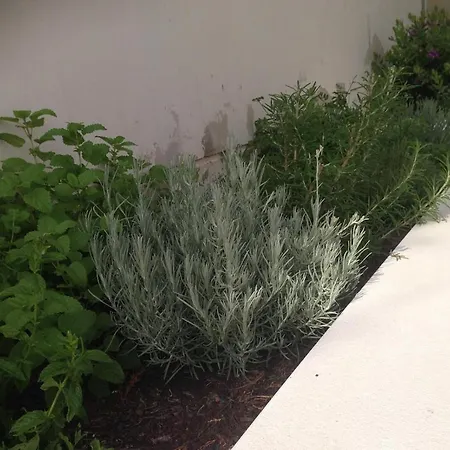 Modern Frontline Golf * Algorfa